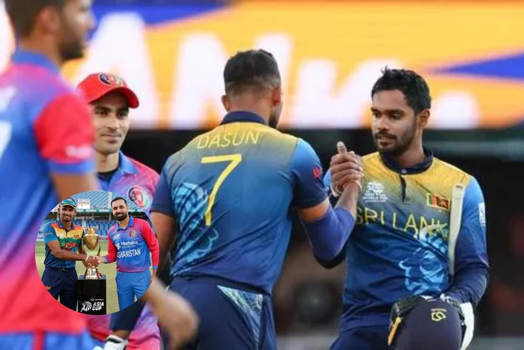 T20 World Cup 2022 De Silva powers Sri Lanka's hopes in tournament; Afghanistan knocked out with their defeat