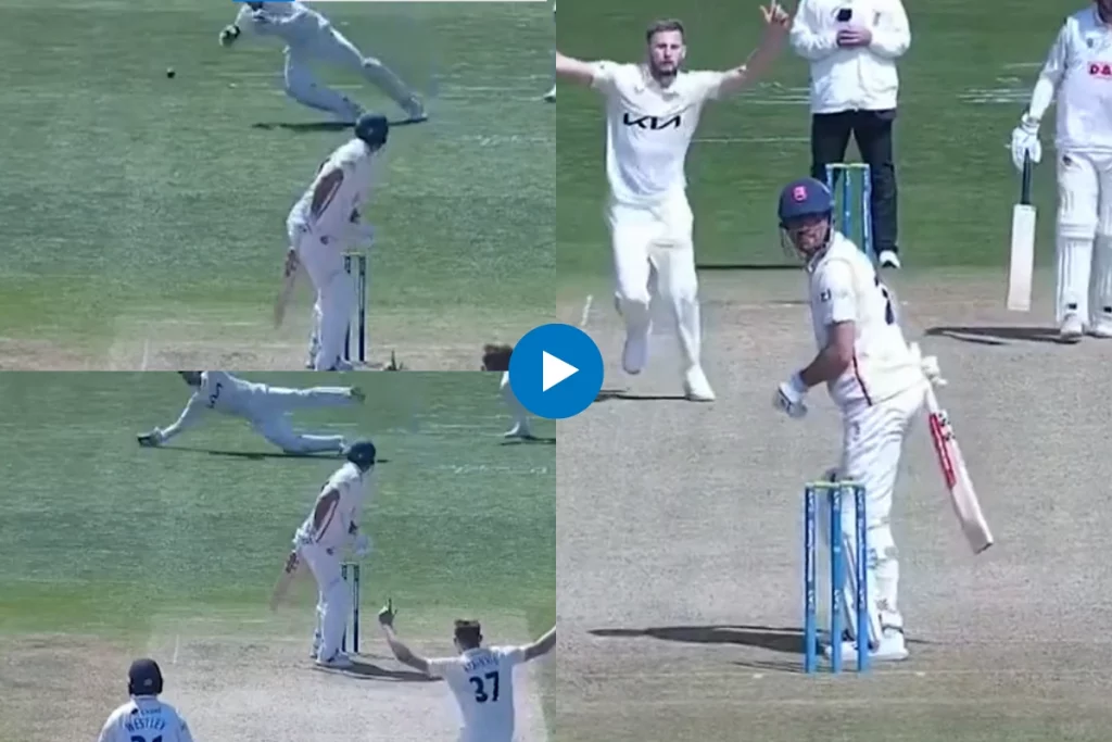 Cricket Viral Video