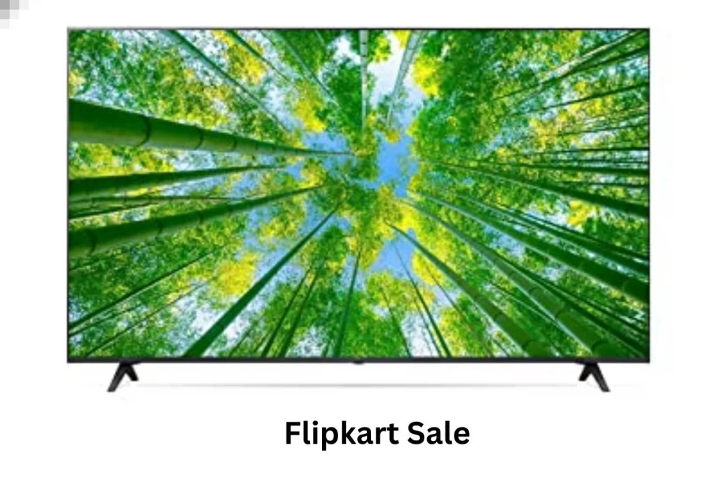 Flipkart Sale