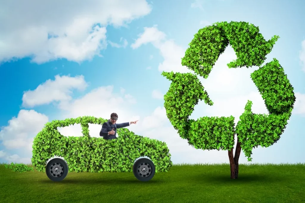 5 ways to decrease environmental impact