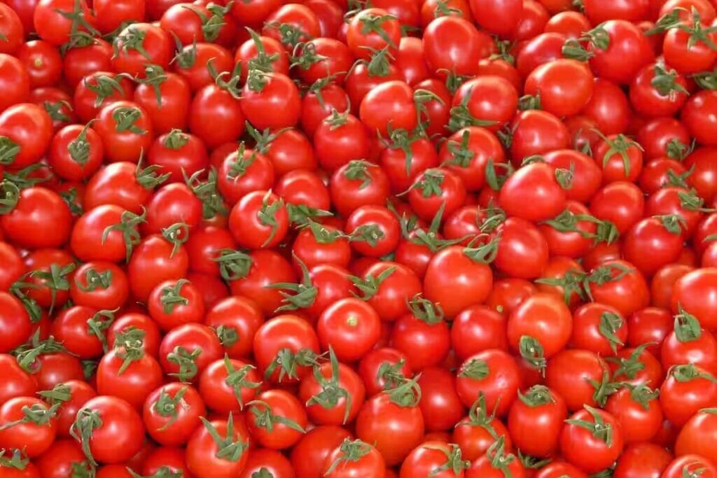 Tomato Price Hike