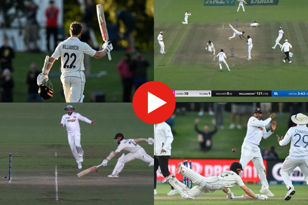 Cricket Viral Video