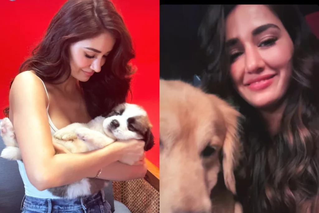 Disha Patani shares adorable pictures with her cute co-stars from the set, Check