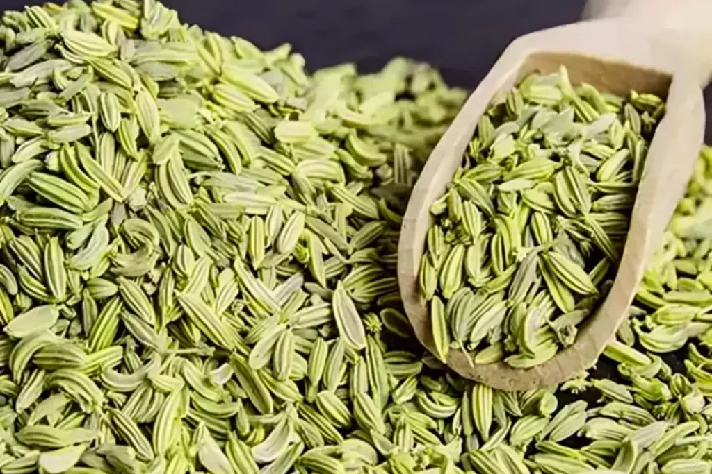 Effects of Chewing Fennel Seeds