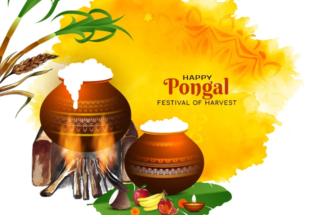 Pongal 2024 Dates, Traditions, & Wishes for a Joyful Harvest Festival
