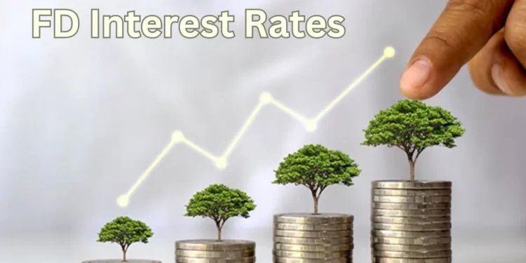 FD Interest Rates