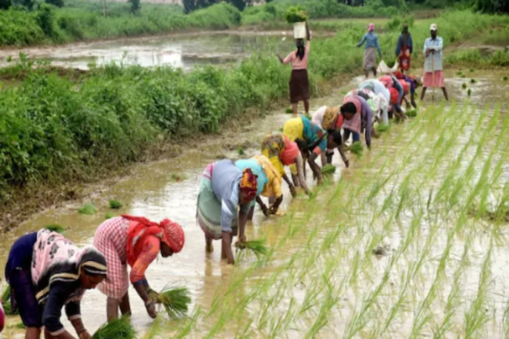 Pradhan Mantri Krishi Sinchai Yojana