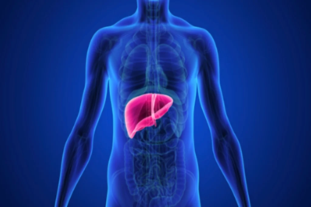 Liver Health