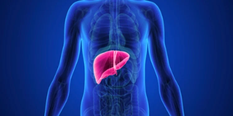 Liver Health