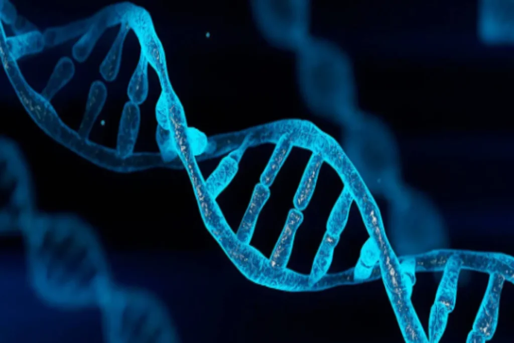 Male Chromosome Shrinking