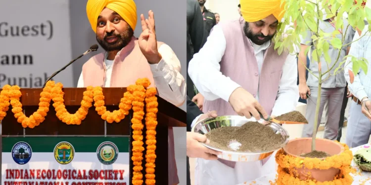 CM Bhagwant Mann